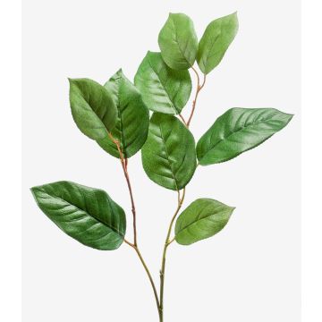 Branche décorative de pommier KONSTANTIN, vert, 75cm