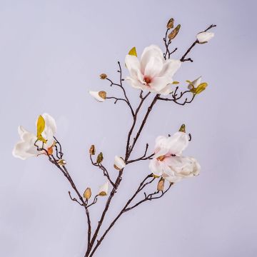 Magnolia artificiel LILO, blanc-rose, 110cm, Ø5-9cm Magnolia artificiel LILO, blanc-rose, 110cm, Ø5-9cm