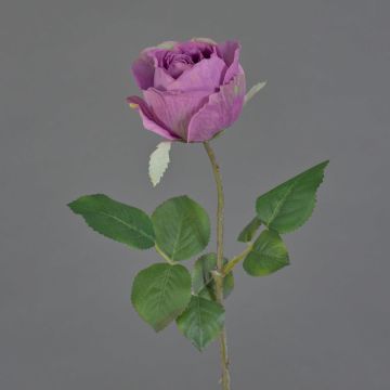 Fleur artificielle rose POPI, violet-vert, 55 cm, Ø 7 cm Fleur artificielle rose POPI, violet-vert, 55 cm, Ø 7 cm