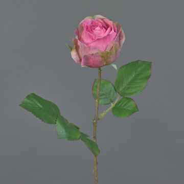 Fleur artificielle rose POPI, rose-vert, 55 cm, Ø 7 cm Fleur artificielle rose POPI, rose-vert, 55 cm, Ø 7 cm