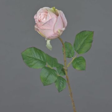 Fleur artificielle Rose POPI, rose pâle, 55 cm, Ø 7 cm Fleur artificielle Rose POPI, rose pâle, 55 cm, Ø 7 cm