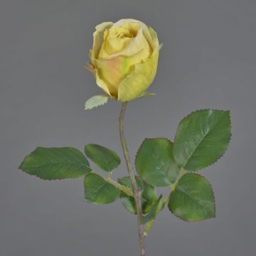 Fleur artificielle Rose POPI, jaune-vert-rose, 55 cm, Ø 7 cm Fleur artificielle Rose POPI, jaune-vert-rose, 55 cm, Ø 7 cm