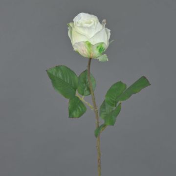 Fleur artificielle Rose POPI, blanc-vert, 55 cm, Ø 7 cm Fleur artificielle Rose POPI, blanc-vert, 55 cm, Ø 7 cm