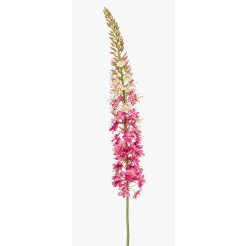 Grande fleur artificielle bougie des steppes NITTI, fuchsia, 130cm Grande fleur artificielle bougie des steppes NITTI, fuchsia, 130cm