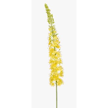 Grande fleur artificielle bougie des steppes NITTI, jaune, 130cm Grande fleur artificielle bougie des steppes NITTI, jaune, 130cm