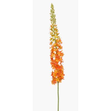 Grande fleur artificielle bougie des steppes NITTI, orange, 130cm Grande fleur artificielle bougie des steppes NITTI, orange, 130cm