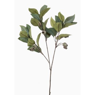 Branche artificielle d'eucalyptus VIZIMIR avec fruits, verte, 80 cm