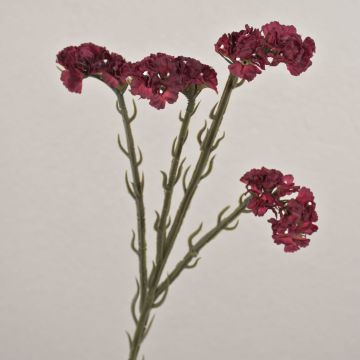 Fleur artificielle lavande de mer AYISHA, aspect séché, rouge foncé, 65cm, 3,5x6cm Fleur artificielle lavande de mer AYISHA, aspect séché, rouge foncé, 65cm, 3,5x6cm