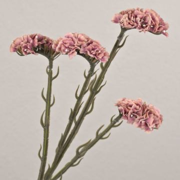Fleur synthétique Strandflieder AYISHA, aspect séché, vieux rose, 65cm, 3,5x6cm