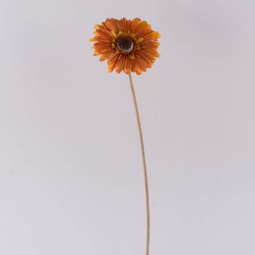 Fleur décorative Gerbera TUNGUSKA, aspect sec, orange, 50cm Fleur décorative Gerbera TUNGUSKA, aspect sec, orange, 50cm