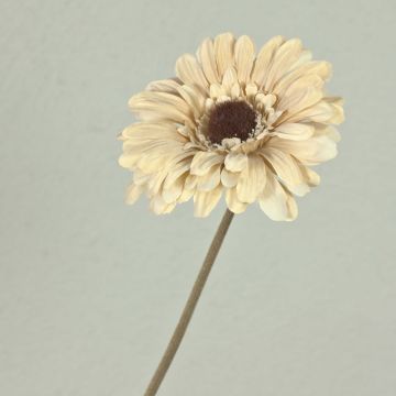 Fleur décorative Gerbera TUNGUSKA, aspect sec, crème-beige, 50cm
