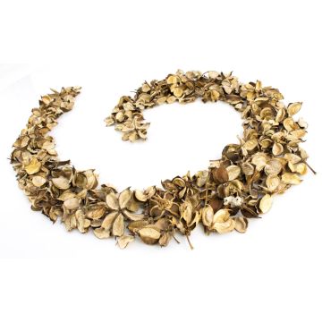 Ensemble d'écorches de fruits en coton CANDY, beige-marron, 4 cm, Ø 6 cm