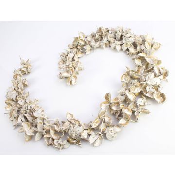 Ensemble d'écorches de fruits en coton CANDY, blanchis, 4 cm, Ø 6 cm