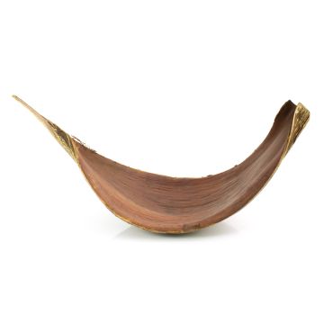 Feuilles de coco XXL CHIPUNA, marron, 30-120 cm