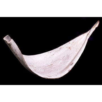 Feuilles de coco XXL CHIPUNA, blanchie, 30-80 cm