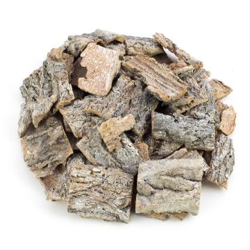 Morceaux d'écorce d'arbre RANDY, blanchis, 6 x 7 cm