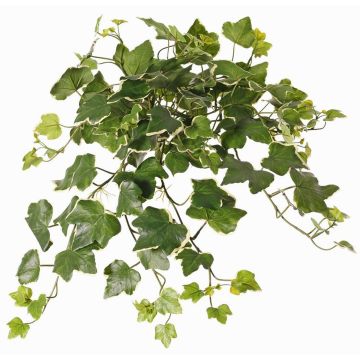 Lierre synthétique suspendu ARJANA, tige, crossdoor, vert-blanc, 50cm