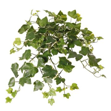 Lierre artificiel suspendu ARJANA, tige, crossdoor, vert-blanc, 50 cm Lierre artificiel suspendu ARJANA, tige, crossdoor, vert-blanc, 50 cm