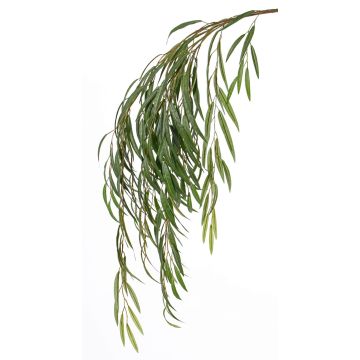 Branche de saule pleureur synthétique CASSIUS, difficilement inflammable, verte, 120cm