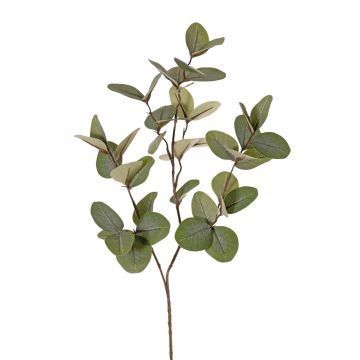 Branche d'eucalyptus artificielle EMMENDA, verte, 80 cm