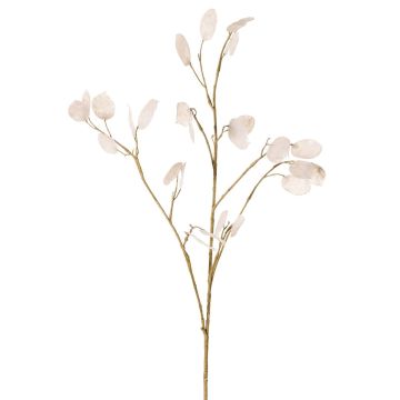 Branche artificielle de lunaria KONIA, crème, 95cm Branche artificielle de lunaria KONIA, crème, 95cm