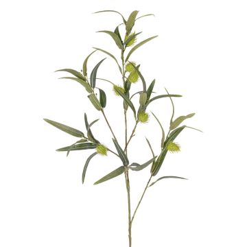 Branche d'euphorbe ballon artificielle TASMIN, fruits, verte, 95cm Branche d'euphorbe ballon artificielle TASMIN, fruits, verte, 95cm