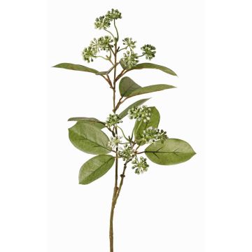 Branche de cornouiller synthétique PANGO avec bourgeons, vert-blanc, 70cm, Ø7cm Branche de cornouiller synthétique PANGO avec bourgeons, vert-blanc, 70cm, Ø7cm