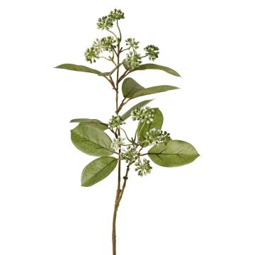 Branche de cornouiller synthétique PANGO avec bourgeons, vert-blanc, 70cm, Ø7cm Branche de cornouiller synthétique PANGO avec bourgeons, vert-blanc, 70cm, Ø7cm