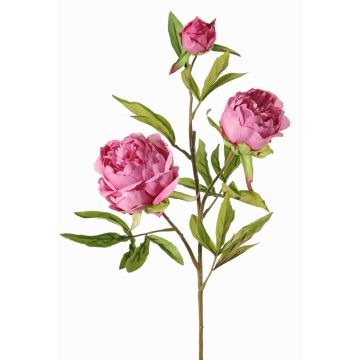 Branche décorative Pivoine MANJA, violet, 70cm, Ø8-10cm