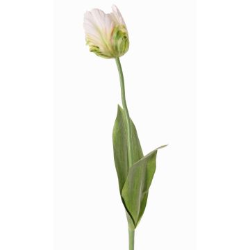 Fleur en tissu Tulipe perroquet UAKARI, blanc-vert, 65cm, Ø6cm Fleur en tissu Tulipe perroquet UAKARI, blanc-vert, 65cm, Ø6cm