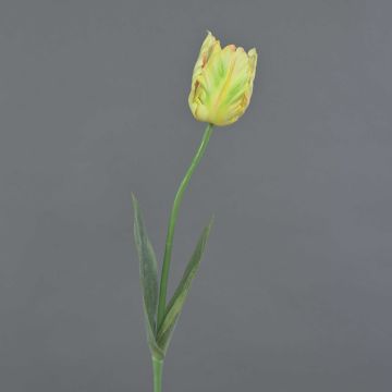 Fleur en tissu Tulipe perroquet UAKARI, jaune clair-vert-rose, 65cm, Ø6cm