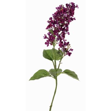 Branche artificielle Lilas ADMIR, violet foncé, 80cm, Ø6-9cm Branche artificielle Lilas ADMIR, violet foncé, 80cm, Ø6-9cm