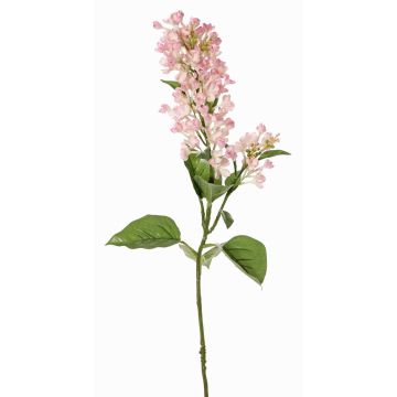 Branche artificielle Lilas ADMIR, rose-crème, 80cm, Ø6-9cm Branche artificielle Lilas ADMIR, rose-crème, 80cm, Ø6-9cm