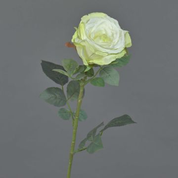 Rose en velours HUSA, blanc-vert, 75cm, Ø10cm