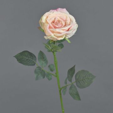 Rose en velours HUSA, rose-crème, 75cm, Ø10cm