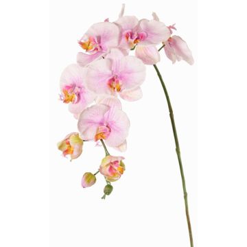 Branche fleurie artificielle Orchidée Phalaenopsis WESA, rose-blanc, 100cm Branche fleurie artificielle Orchidée Phalaenopsis WESA, rose-blanc, 100cm