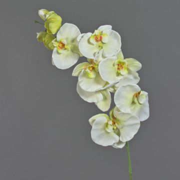 Branche fleurie artificielle Orchidée Phalaenopsis WESA, blanc-vert, 100cm