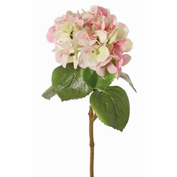 Hortensia artificiel CHIDORI, crème-rose-vert, 60 cm, Ø 18 cm Hortensia artificiel CHIDORI, crème-rose-vert, 60 cm, Ø 18 cm