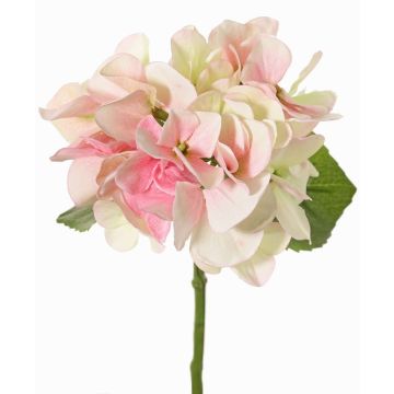 Hortensia artificiel CHIDORI, crème-rose-vert, 30 cm, Ø 13 cm Hortensia artificiel CHIDORI, crème-rose-vert, 30 cm, Ø 13 cm
