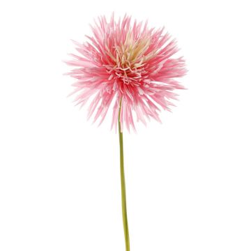Chrysanthème synthétique NANDITA, rose-crème, 60cm, Ø15cm Chrysanthème synthétique NANDITA, rose-crème, 60cm, Ø15cm
