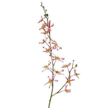 Branche florale artificielle Orchidée Cattleya TRASSA, violet-blanc-jaune, 80cm, Ø4-8cm Branche florale artificielle Orchidée Cattleya TRASSA, violet-blanc-jaune, 80cm, Ø4-8cm