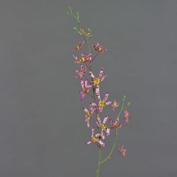 Branche florale artificielle Orchidée Cattleya TRASSA, fuchsia-blanc-jaune, 80cm