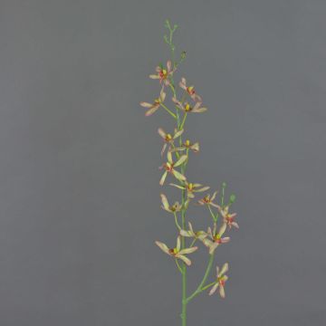 Branche florale artificielle Orchidée Cattleya TRASSA, vert clair-rouge, 80cm