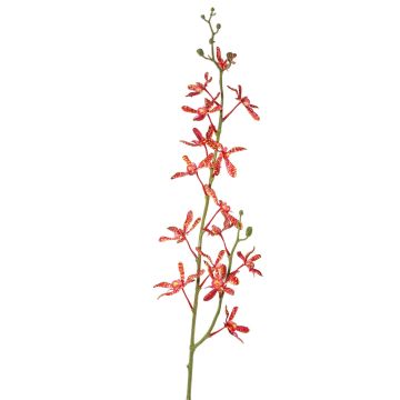 Branche florale artificielle Orchidée Cattleya TRASSA, rouge-orange, 80cm, Ø4-8cm Branche florale artificielle Orchidée Cattleya TRASSA, rouge-orange, 80cm, Ø4-8cm