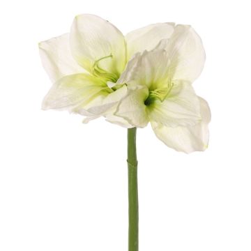 Amaryllis synthétique NARWELA, blanc-vert, 70cm, Ø10-13cm Amaryllis synthétique NARWELA, blanc-vert, 70cm, Ø10-13cm