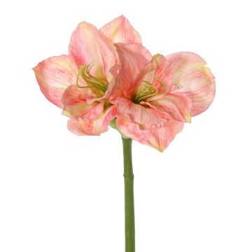 Amaryllis artificielle NARWELA, fuchsia-rose-crème, 70cm, Ø10-13cm