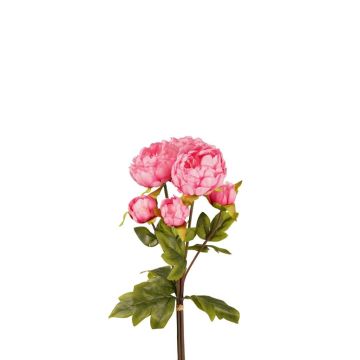 Bouquet de pivoines synthétiques VATANA, fuchsia, 50cm, Ø18cm Bouquet de pivoines synthétiques VATANA, fuchsia, 50cm, Ø18cm
