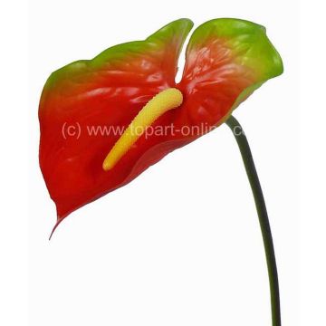 Fleur artificielle Anthurium MOIRA, rouge-vert, 75cm, 13x18cm Fleur artificielle Anthurium MOIRA, rouge-vert, 75cm, 13x18cm
