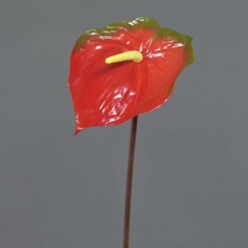 Fleur artificielle Anthurium MOIRA, rouge-vert, 75cm, 13x20cm