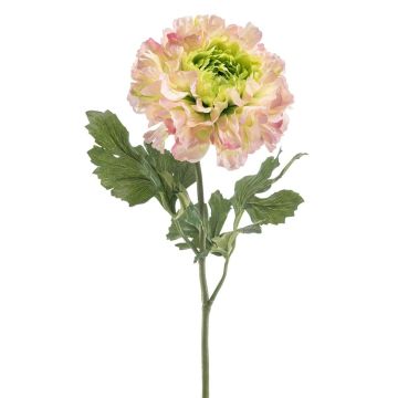Renoncule synthétique ULISAN, rose-vert, 60cm, Ø14cm Renoncule synthétique ULISAN, rose-vert, 60cm, Ø14cm